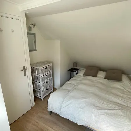 T-rots, Prachtig Zomerhuis Noordwijk