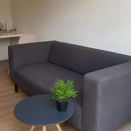 T-rots, Prachtig Zomerhuis Noordwijk