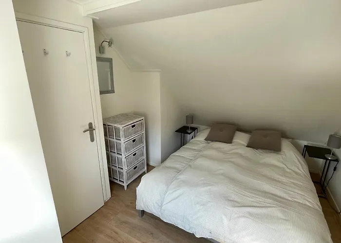 T-rots, Prachtig Zomerhuis Noordwijk