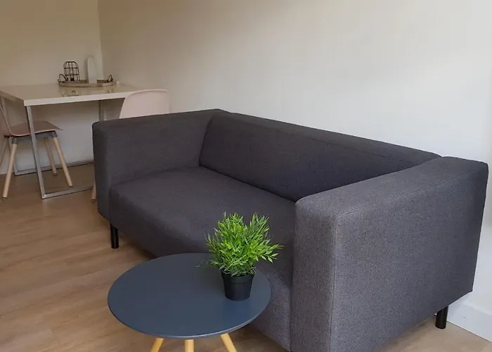 T-rots, Prachtig Zomerhuis Noordwijk