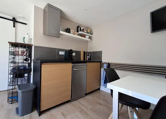 T-rots, Prachtig Zomerhuis Noordwijk